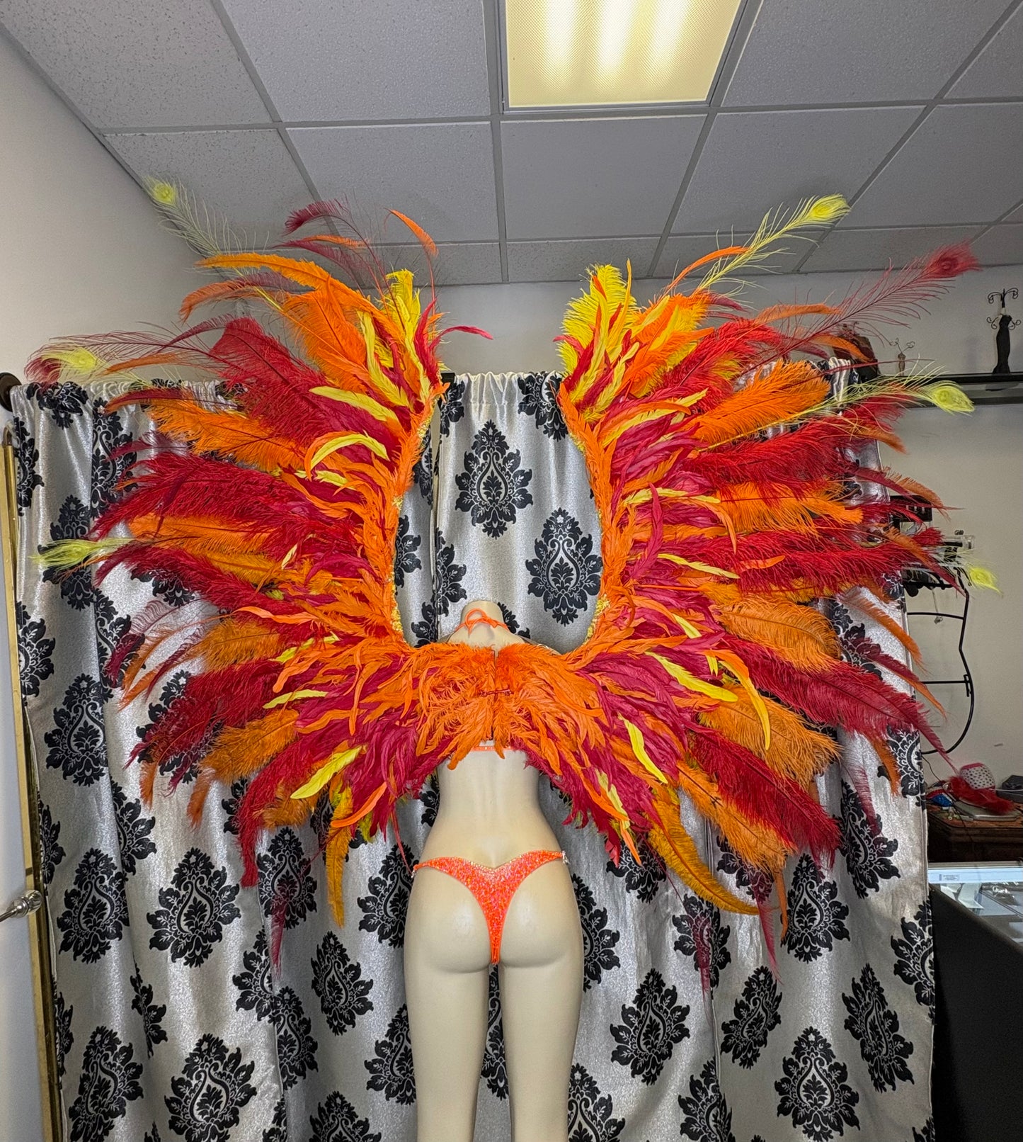 Rental wings- Fire rise Phoenix wings