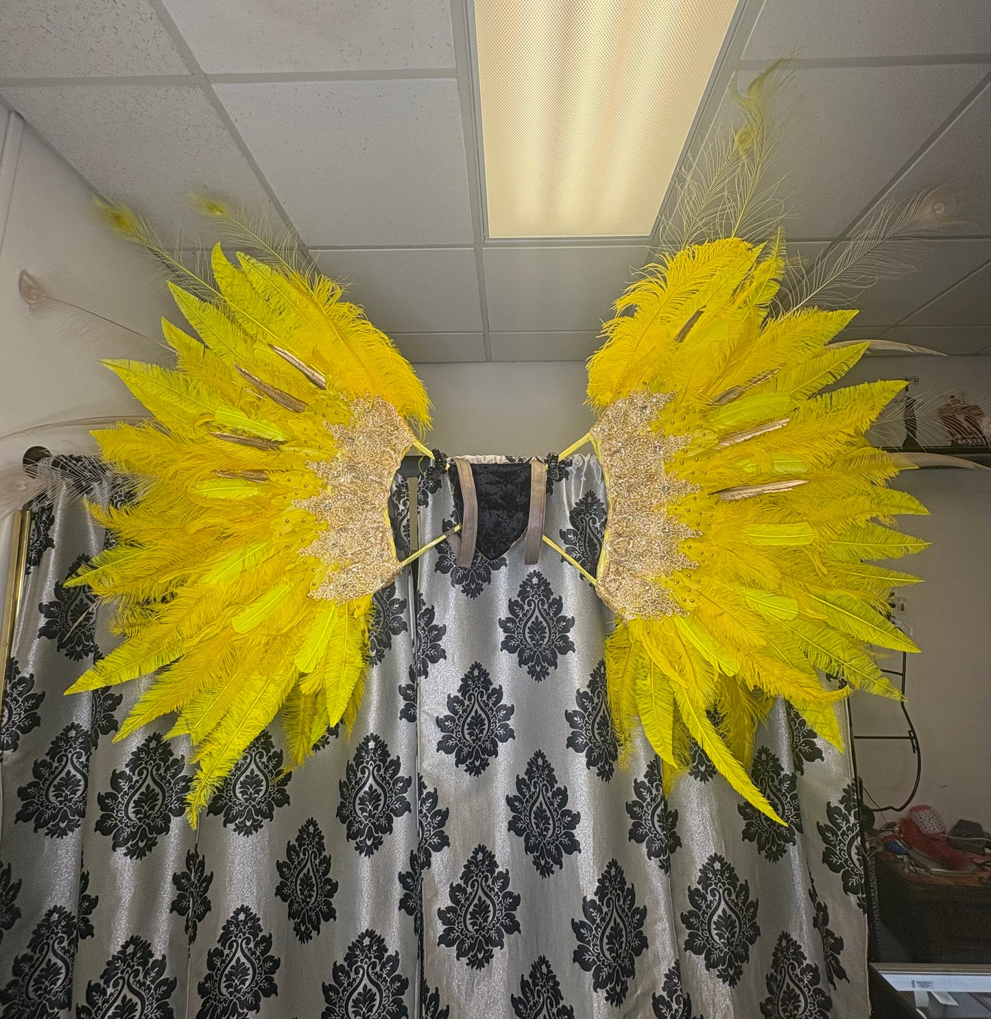 Wing rental- YELLOW FEVER DREAM