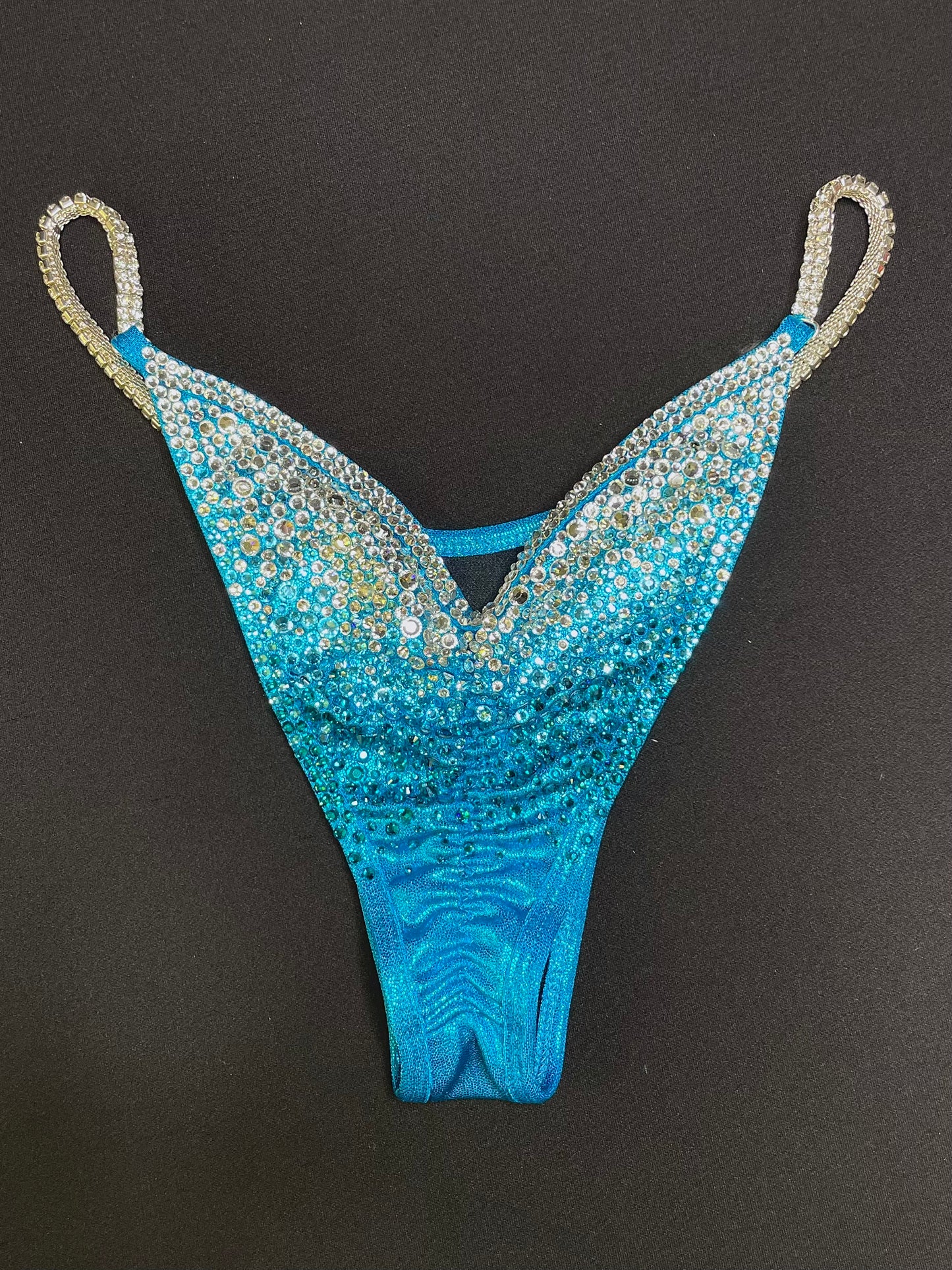 Aqua/Teal Bikini (TN173)