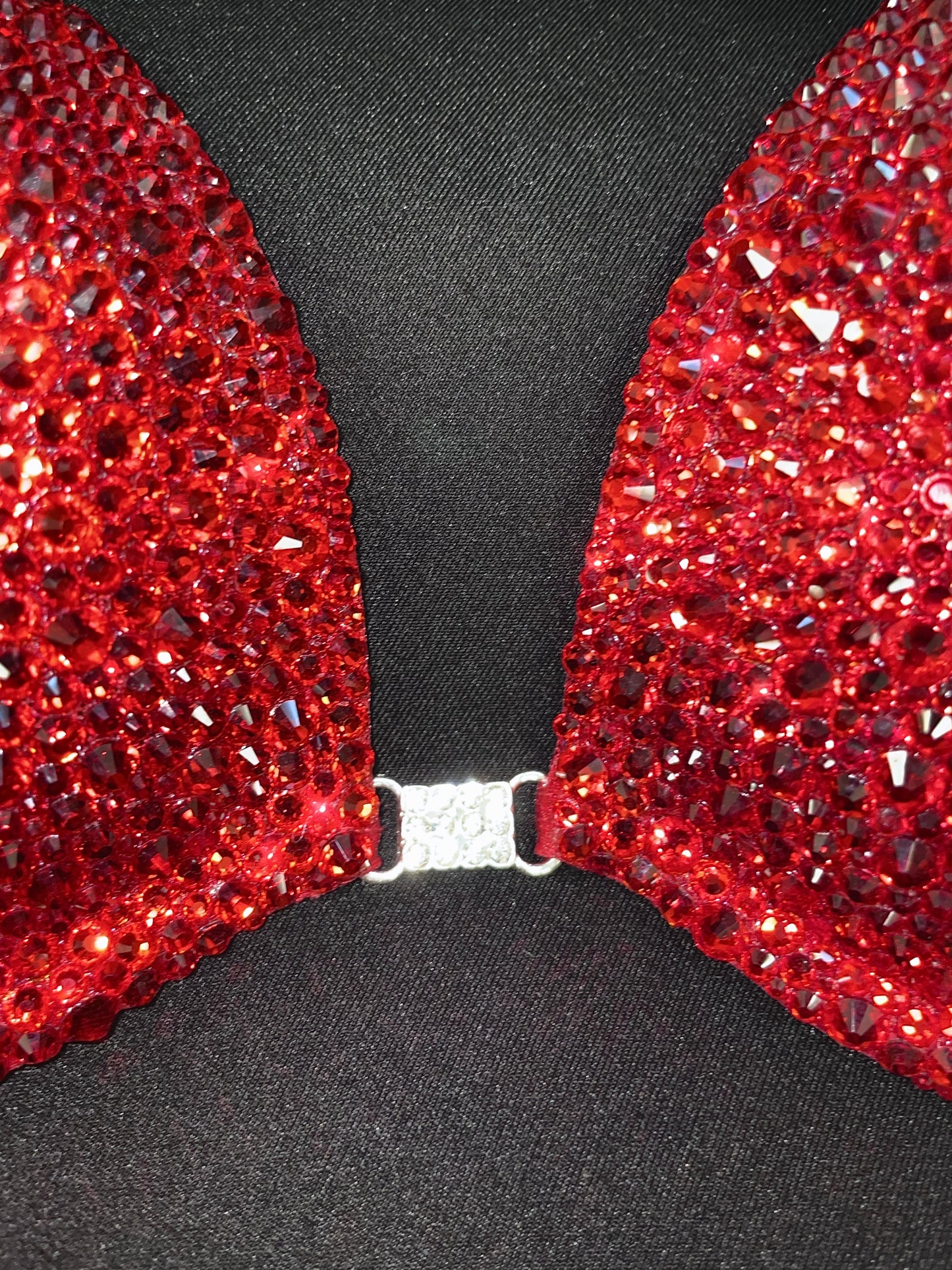 RED ON RED Bikini (TN433)