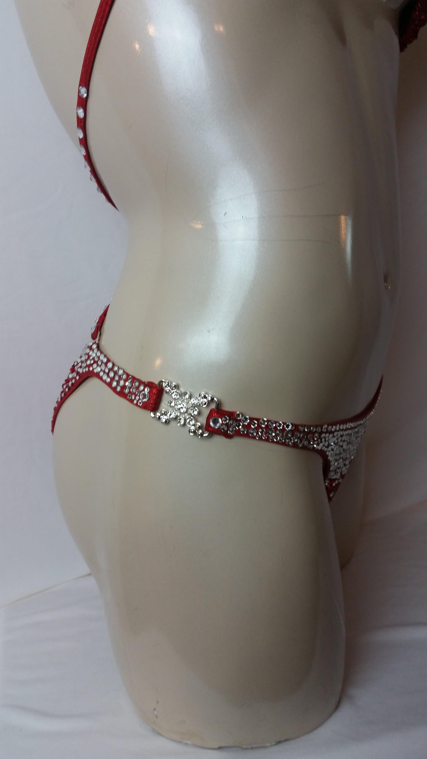 Crimson red bikini with multi sized crystal and ruby rhinestone design rhinestones.