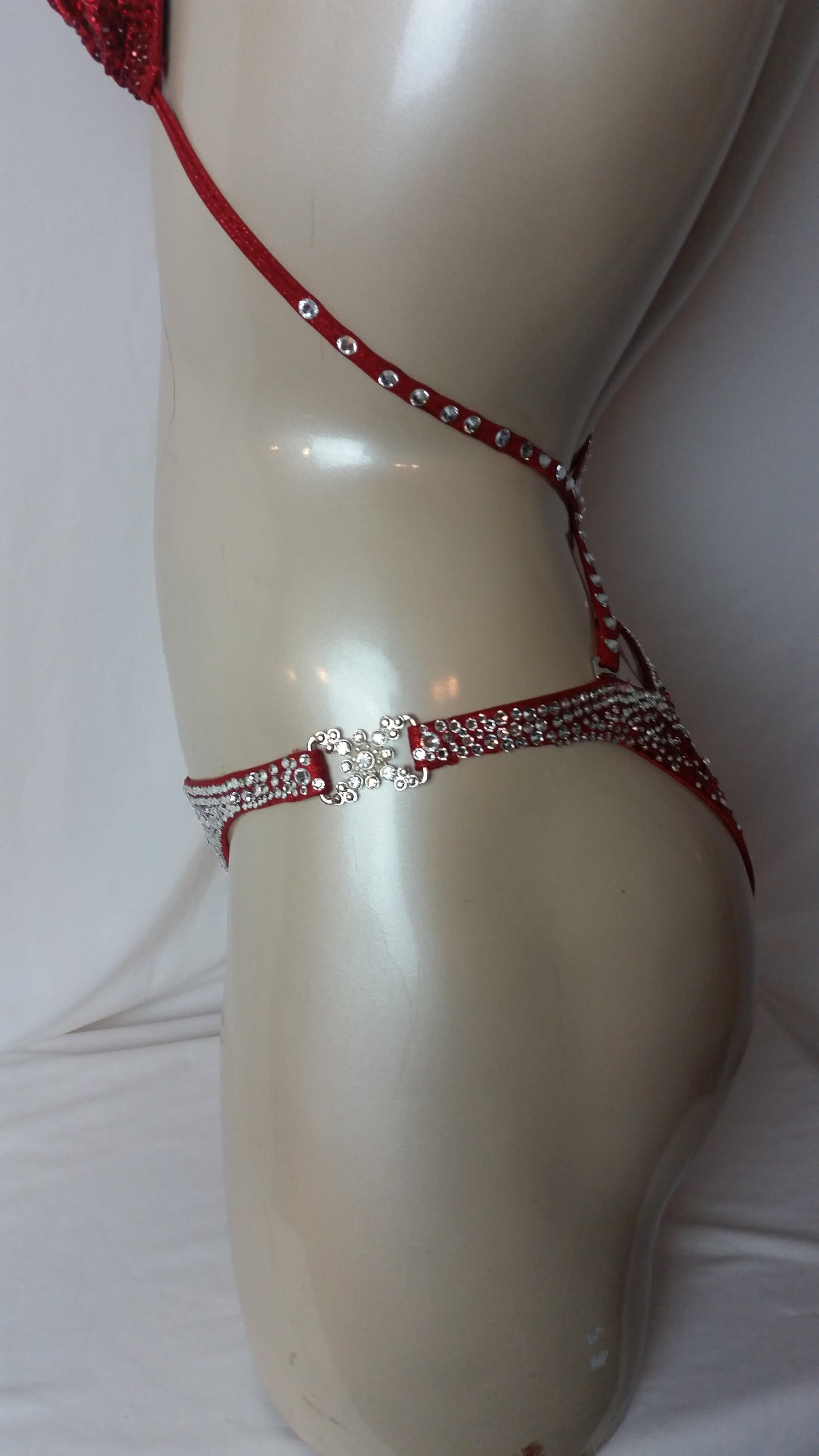 Crimson red bikini with multi sized crystal and ruby rhinestone design rhinestones.