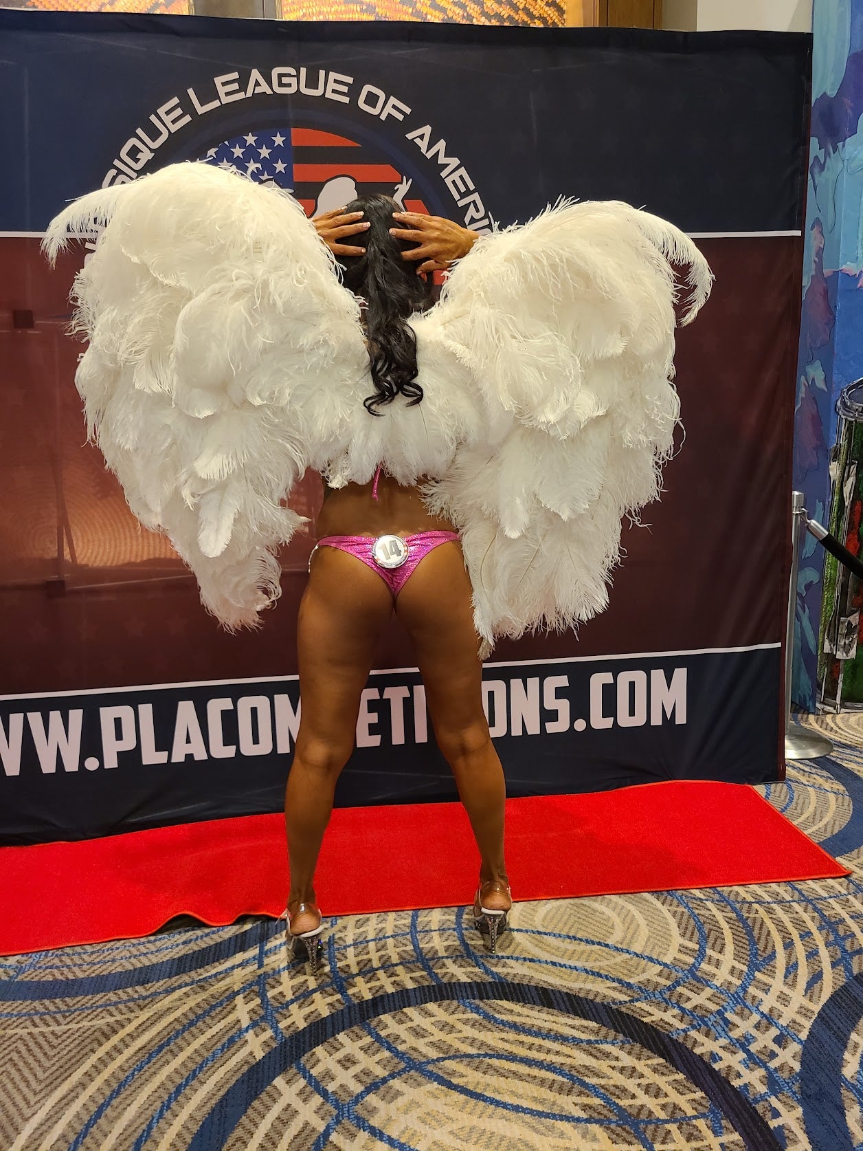 Wing Rental - Large Ostrich