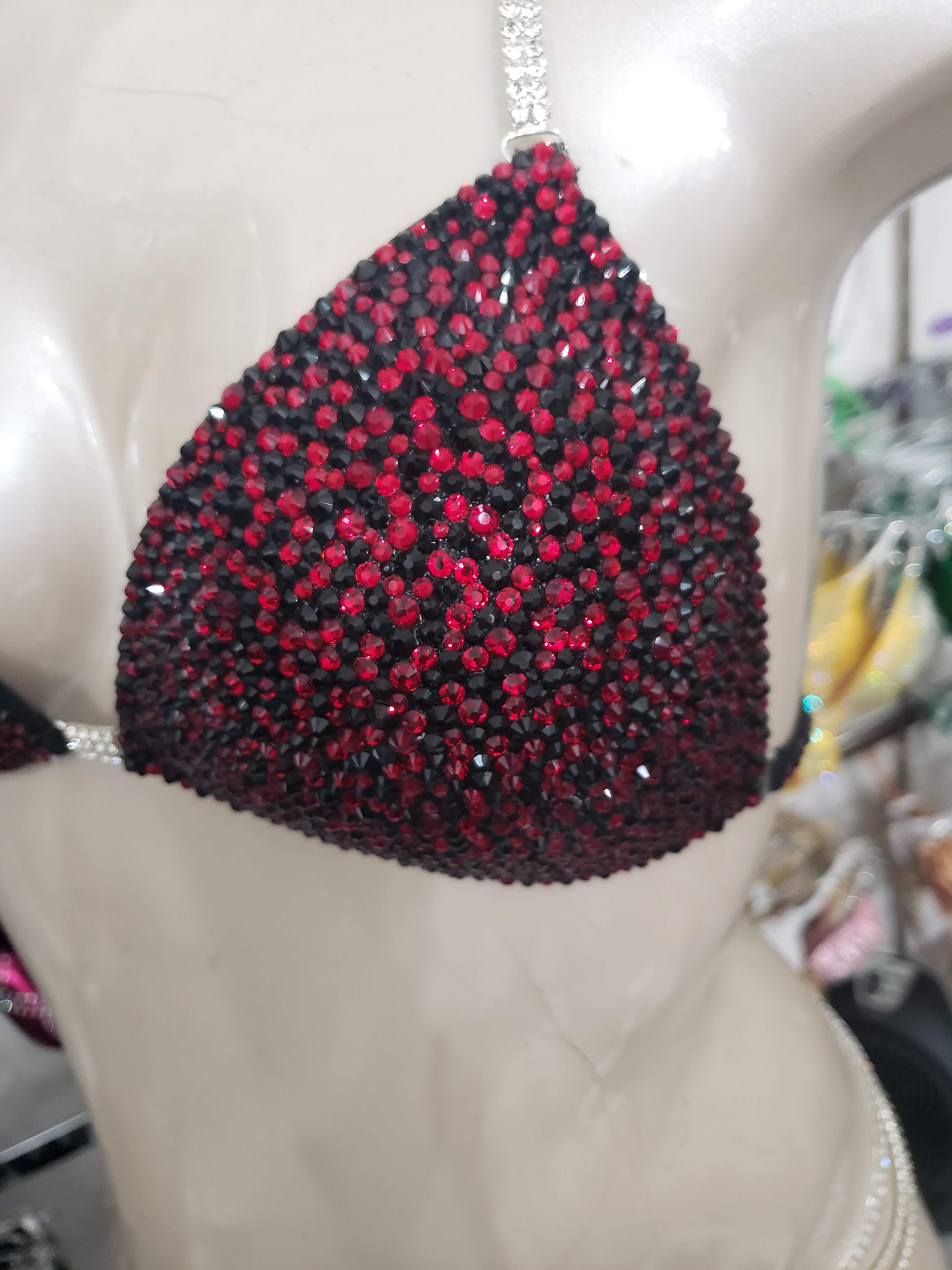 Black and Red Bikini