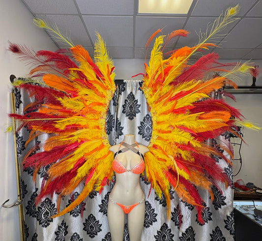 Rental wings- Fire rise Phoenix wings