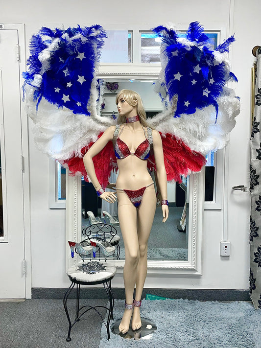 Wing Rental - USA AMERICA THEMED