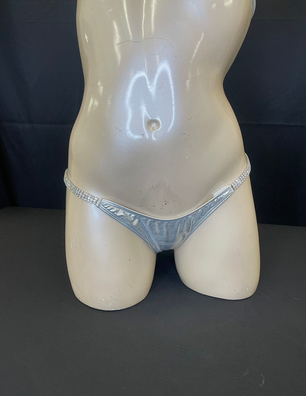 Silver Posing suit