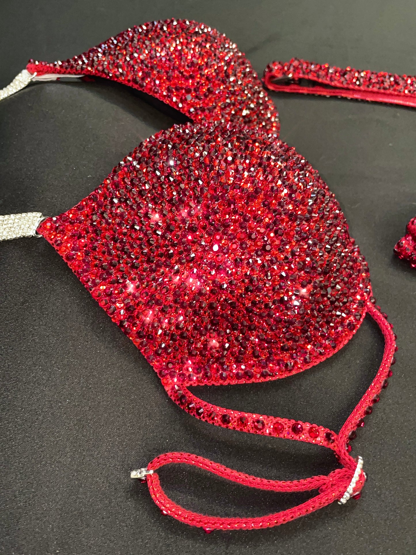 Ruby Red Wellness bikini (TN687)