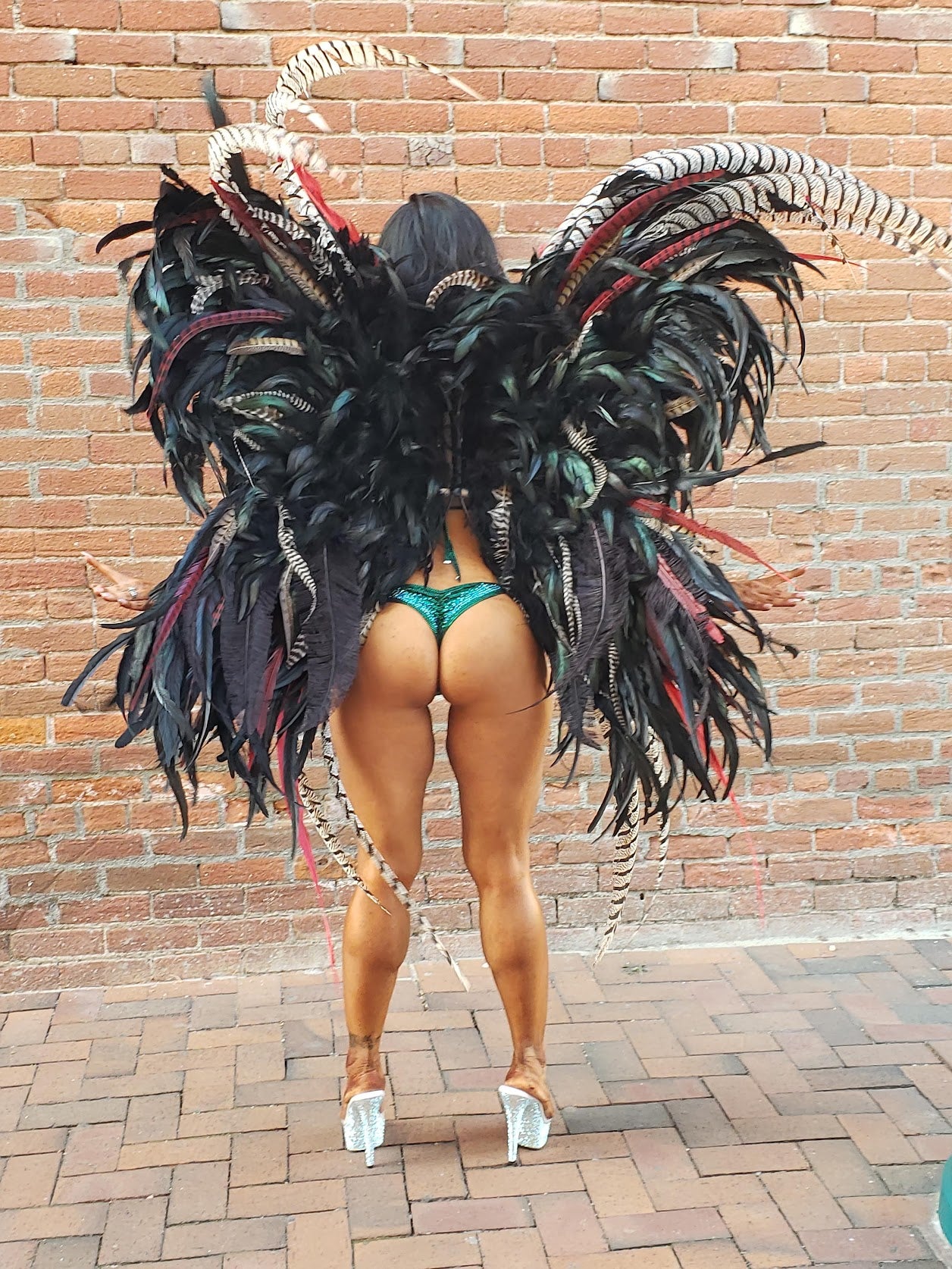 Wing Rental - Black Aztec